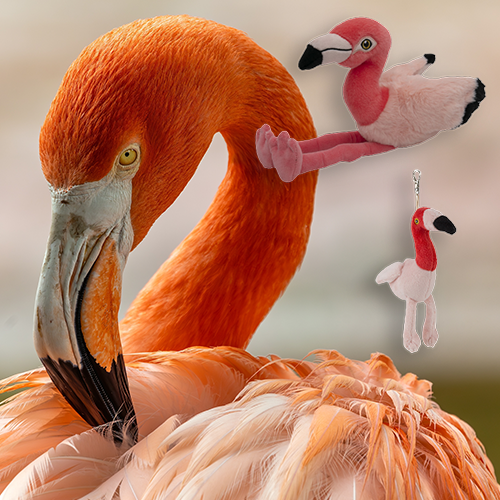 Flamingo bundle sale