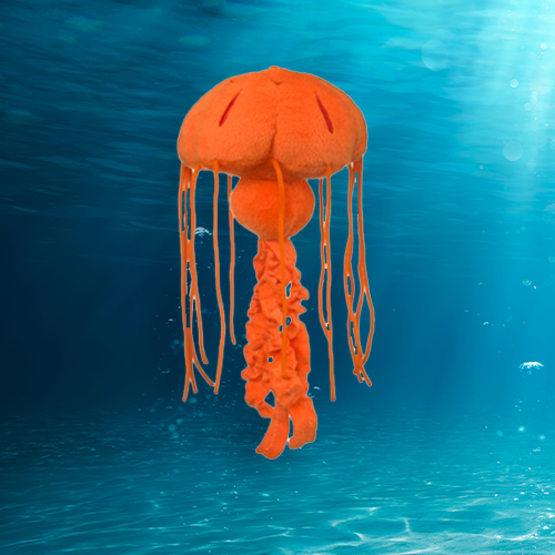 Chrysaora Jellyfish Plush Adoption Oceana Marine Wildlife Adoption and Gift Center