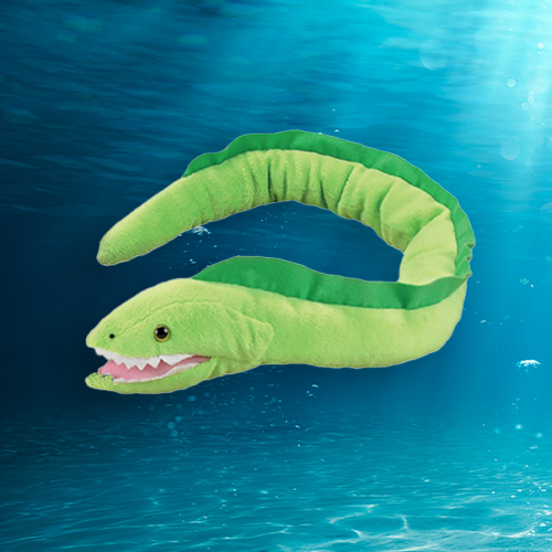 Green Moray Eel Plush Adoption Oceana Marine Wildlife Adoption and Gift Center