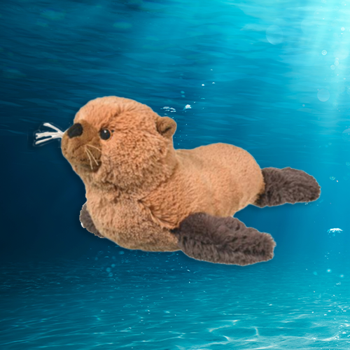 California Sea Lion Plush Adoption Oceana Marine Wildlife Adoption and Gift Center