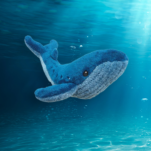 Blue Whale Plush Adoption