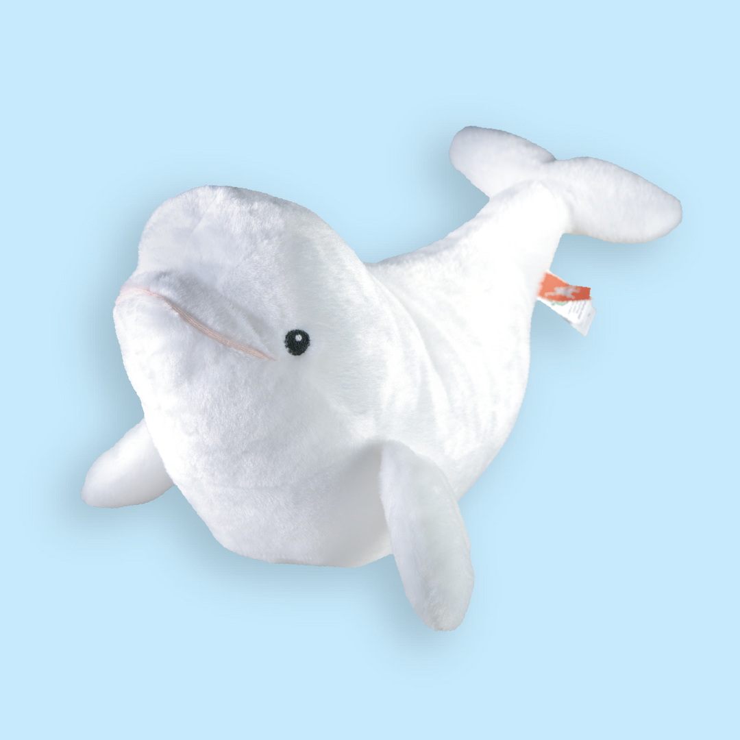 Large Beluga Whale Plush Adoption – Oceana Marine Wildlife