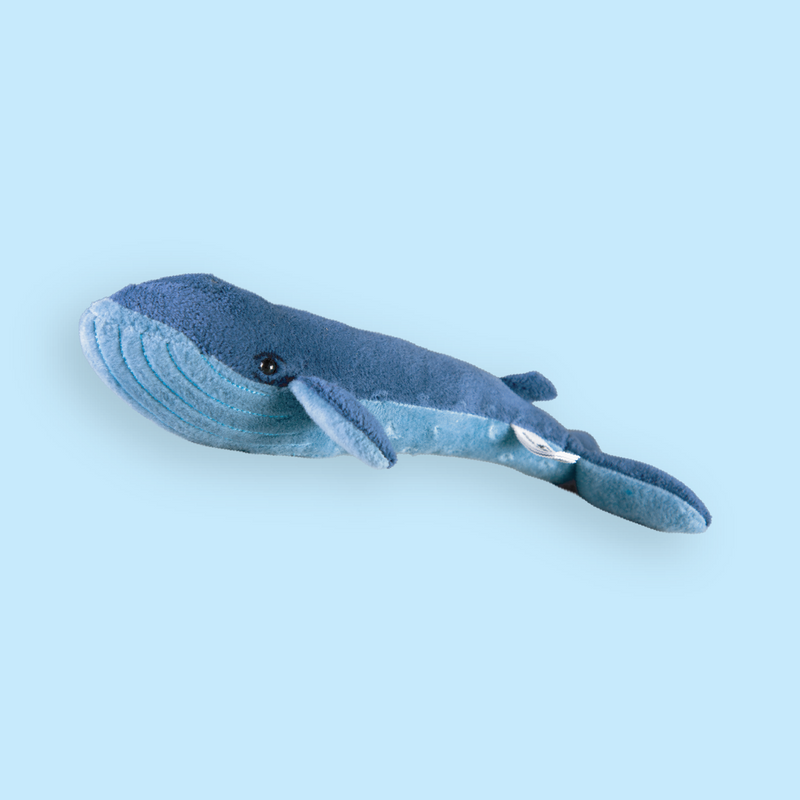 Mini Blue Whale Plush Adoption