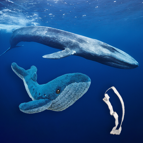 Blue Whale Adoption Bundle
