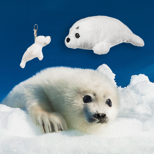 Harp Seal Pup Adoption Bundle