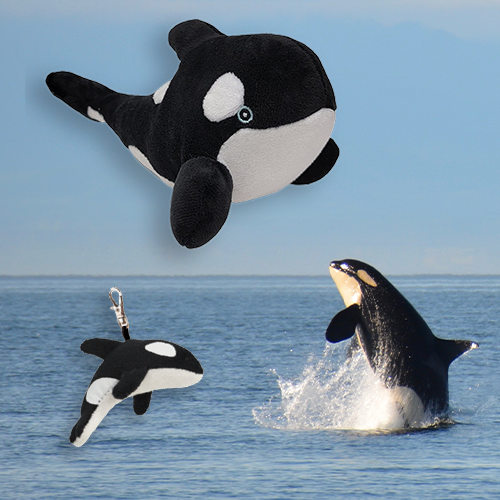 Orca Adoption Bundle