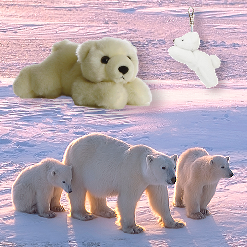 Polar Bear Adoption Bundle