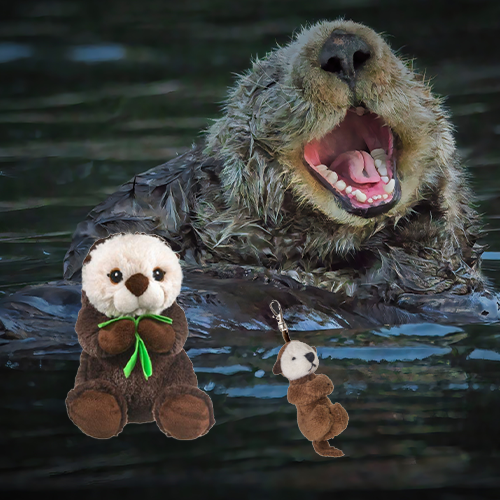 Sea Otter Adoption Bundle