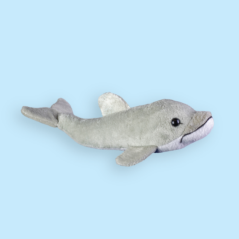 Common Bottlenose Dolphin Plush Adoption