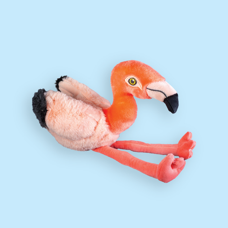 American Flamingo Plush Adoption
