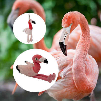 American Flamingo Adoption Bundle