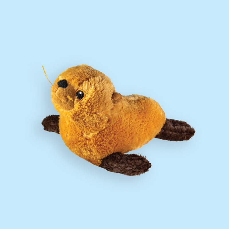 California Sea Lion Plush Adoption