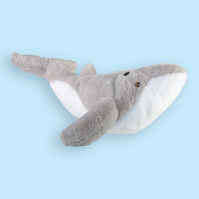 Humpback Whale Plush Adoption