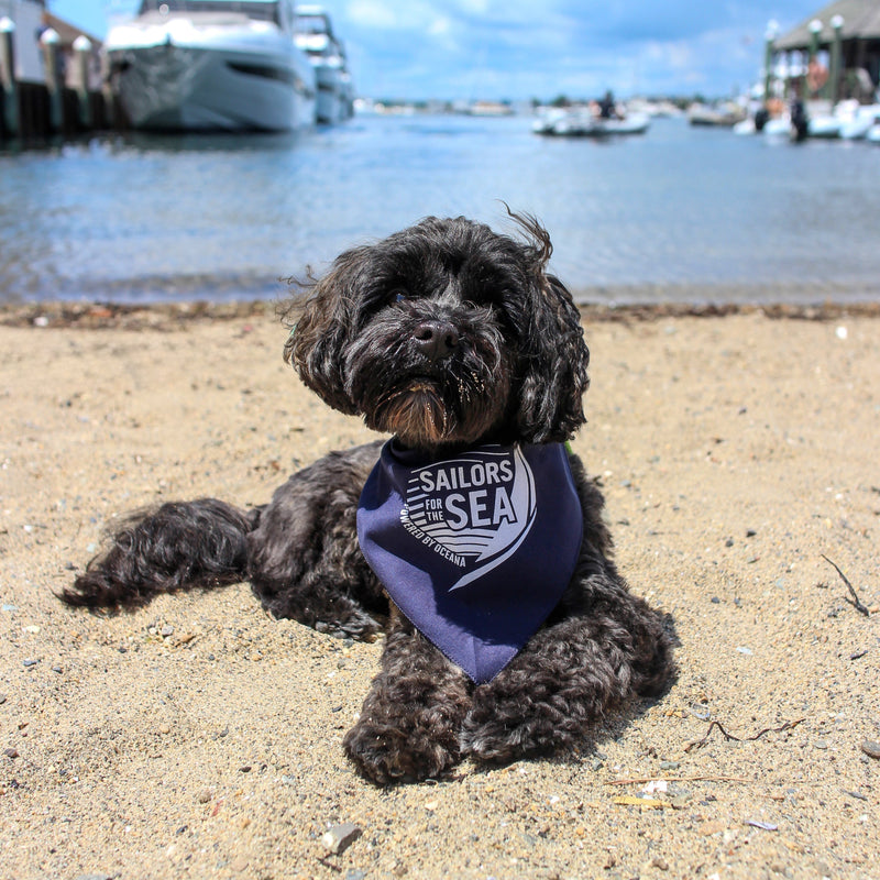 Sailors for the Sea Doggie Bandana