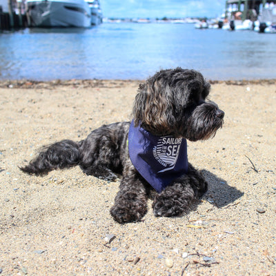 Sailors for the Sea Doggie Bandana