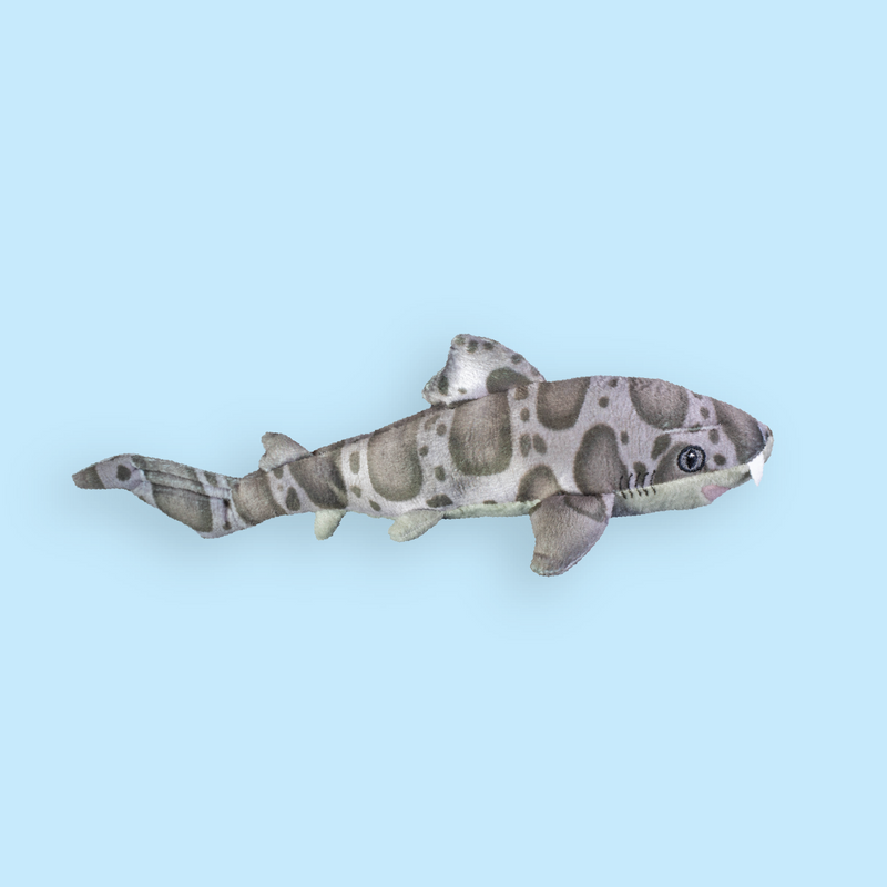 Mini Leopard Shark Plush Adoption