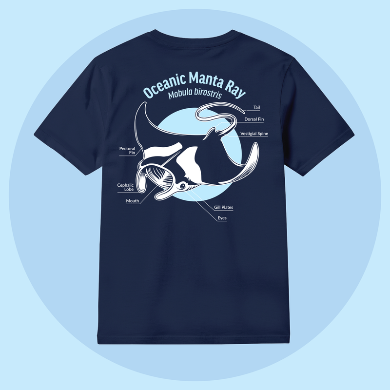 Oceanic Manta Ray Shirt – Oceana Marine Wildlife Adoption and Gift Center