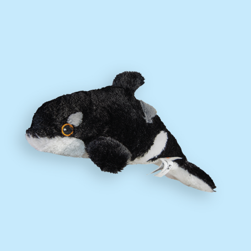 Orca Plush Adoption