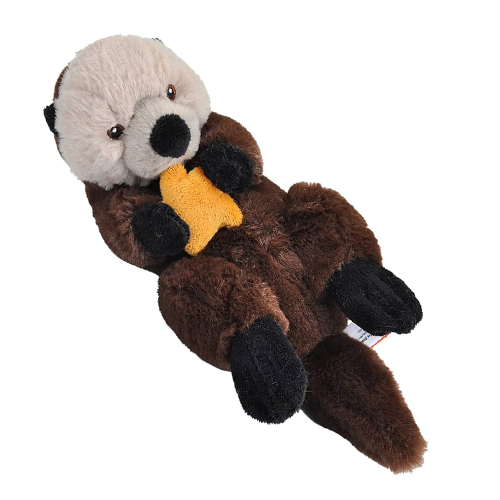 Otto the Otter Plush Adoption – Oceana Marine Wildlife Adoption and ...