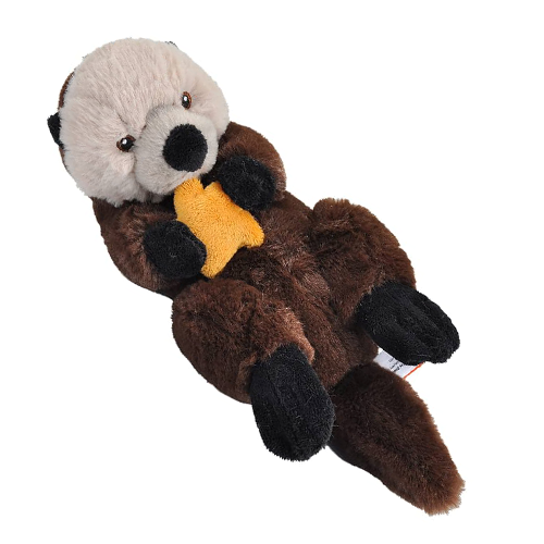 Otto the Otter Plush Adoption