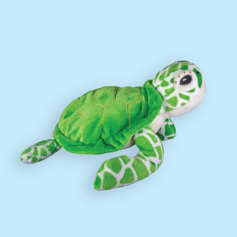 Green Sea Turtle Plush Adoption
