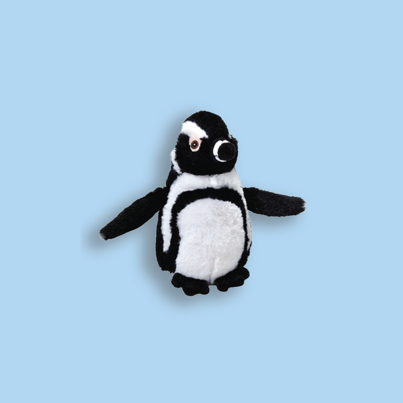 African Penguin Plush Adoption