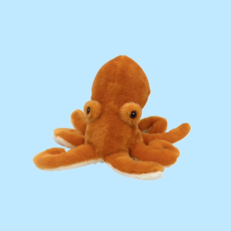 Large Giant Pacific Octopus Adoption