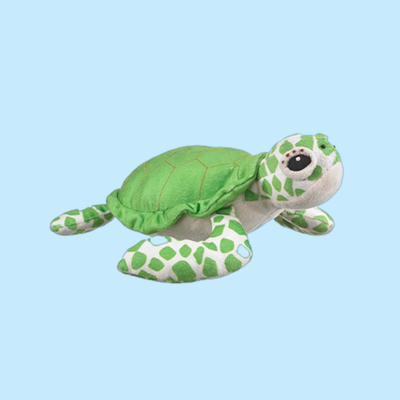 Green Sea Turtle Plush Adoption