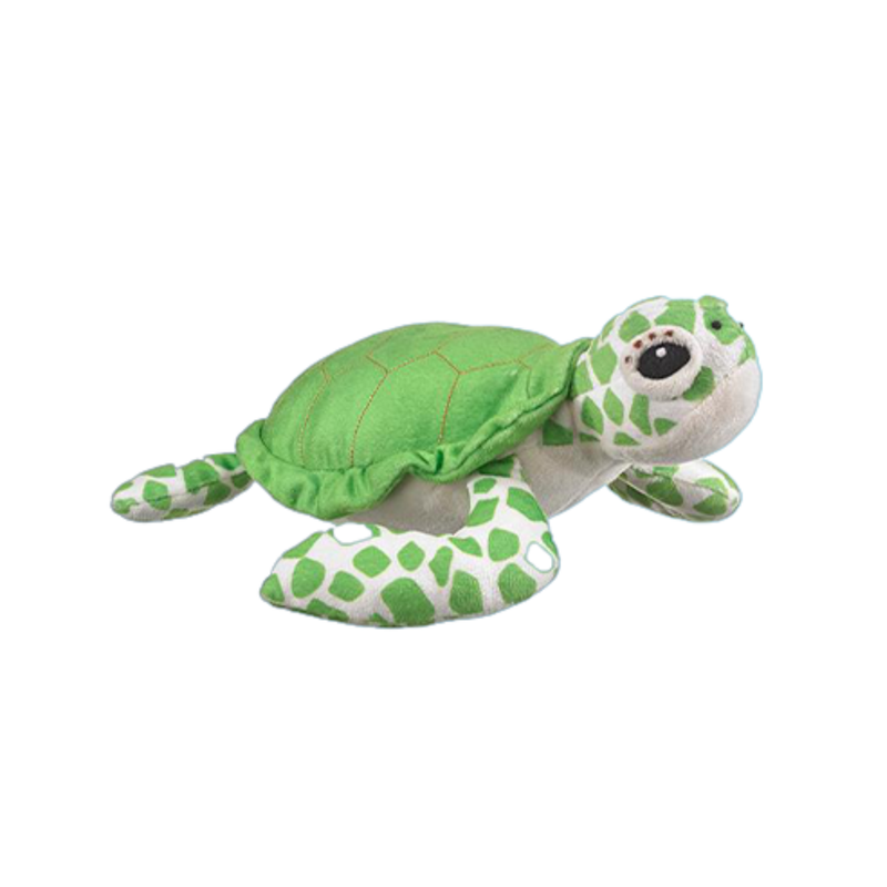 Green Sea Turtle Plush Adoption