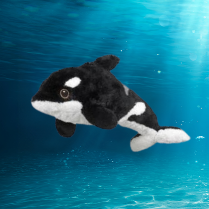 Orca Plush Adoption