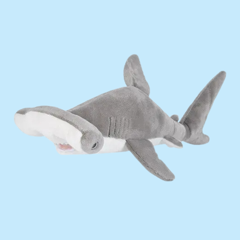 Hammerhead Shark Plush Adoption