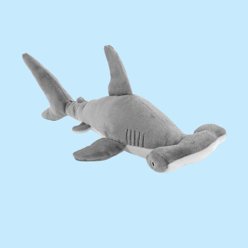 Hammerhead Shark Plush Adoption