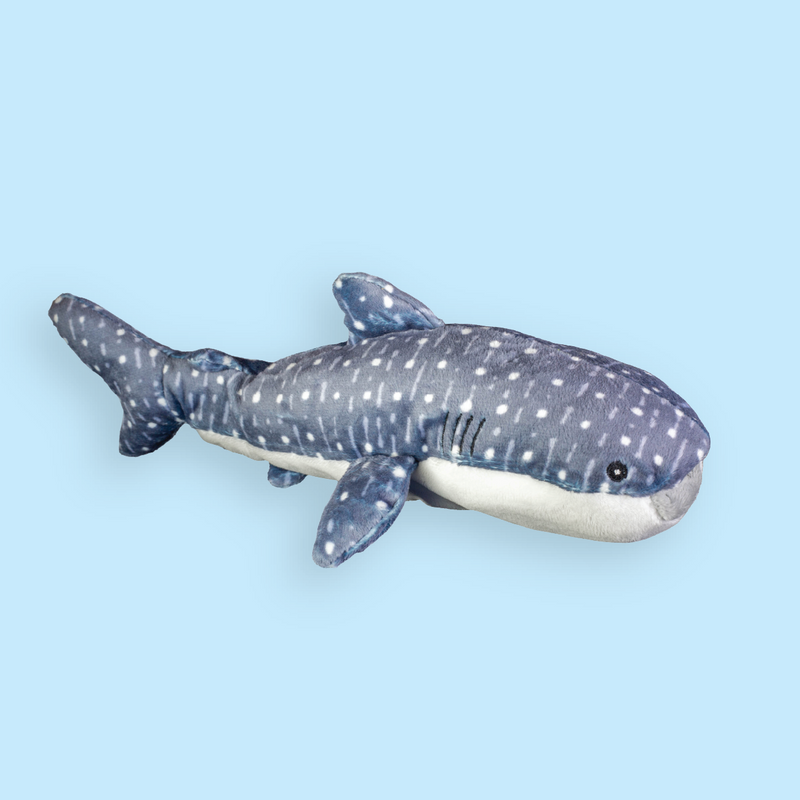 Mini Whale Shark Plush Adoption