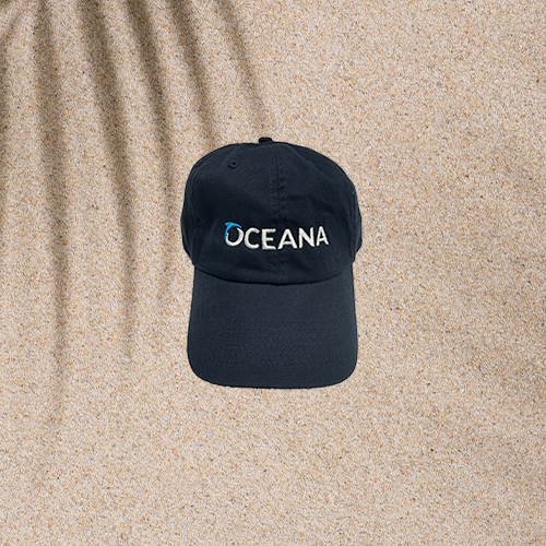 Oceana Baseball Cap