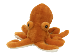 Large Giant Pacific Octopus Adoption