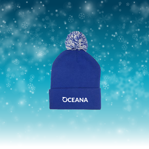 Oceana Beanie