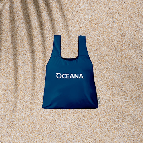 Oceana Chico Bag