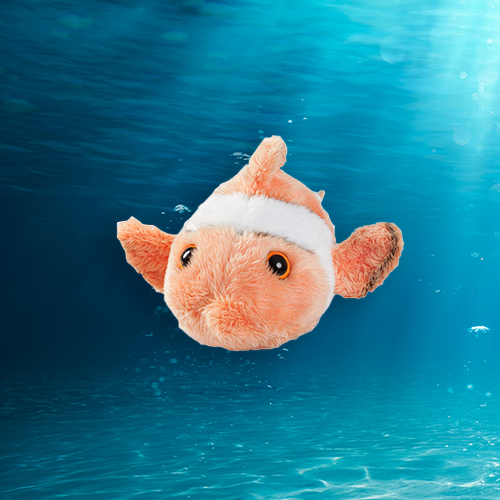 Clownfish Plush Adoption