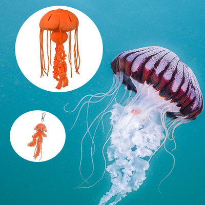 Chrysaora Jellyfish Adoption Bundle
