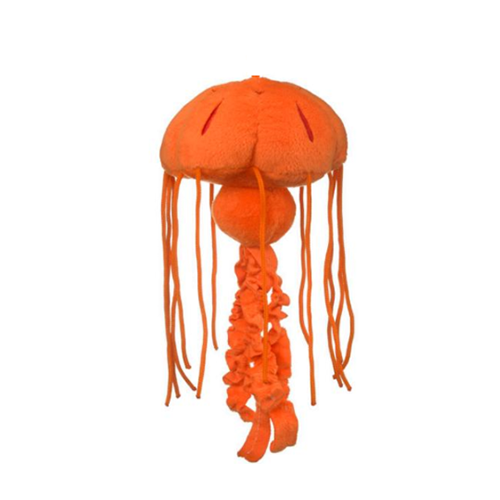 Chrysaora Jellyfish Plush Adoption Oceana Marine Wildlife Adoption and Gift Center