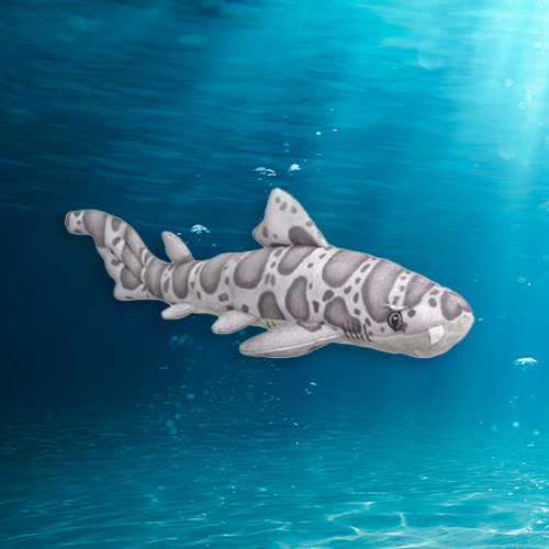 Leopard Shark Plush Adoption – Oceana Marine Wildlife Adoption and Gift ...