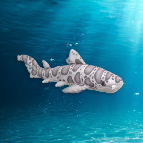 Mini Leopard Shark Plush Adoption