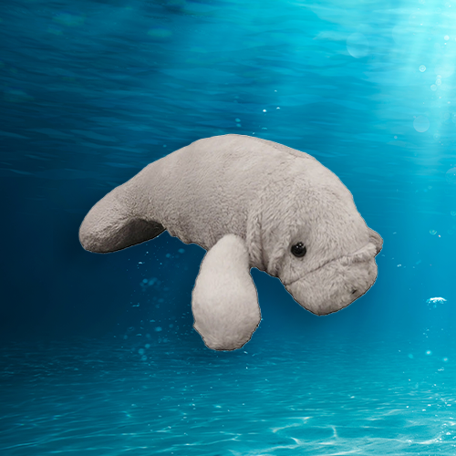 West Indian Manatee Plush Adoption