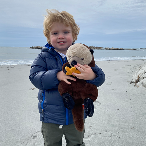 Otto the Otter Plush Adoption