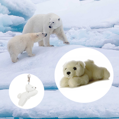 Polar Bear Adoption Bundle