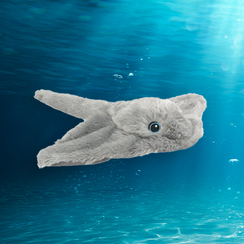 Southern Stingray Plush Adoption