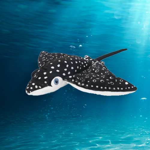 Spotted Eagle Ray Plush Adoption