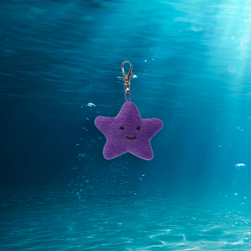 Blue Sea Star Keychain Adoption