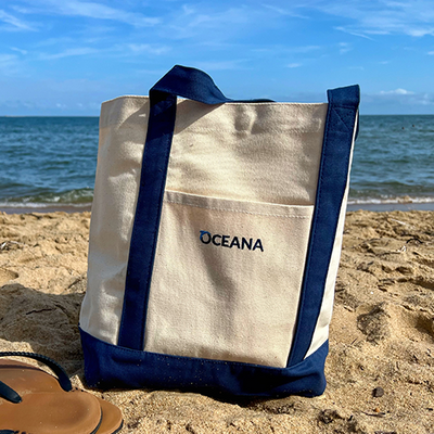 Oceana Tote Bag