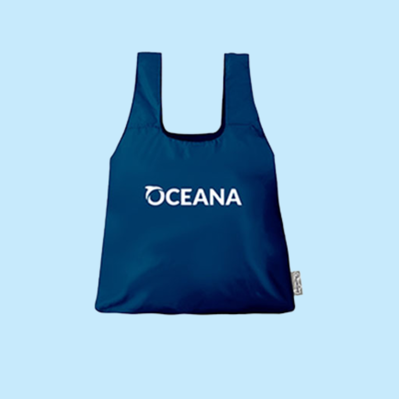 Oceana Chico Bag – Oceana Marine Wildlife Adoption and Gift Center